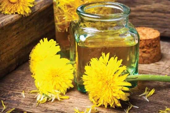 Púpavový olej čistí pečeň, lieči bolesť hlavy aj choré kĺby: RECEPT, ako si vyrobíte aj u vás doma!