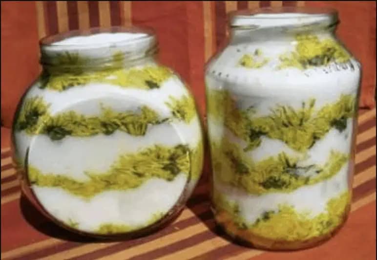 Liečivý zázrak na zápaly priedušiek, pľúc a vykašliavanie: Na jar ho máte zadarmo a vydrží vám celý rok!