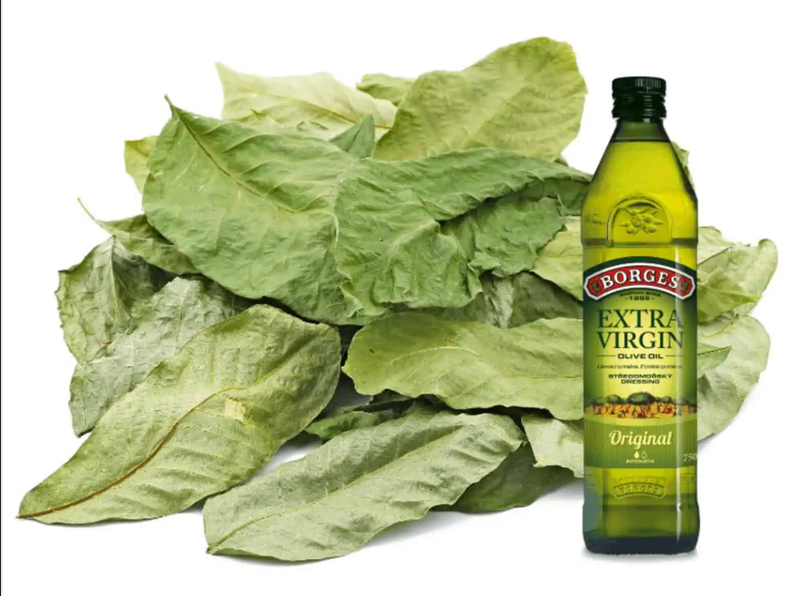 Toto radím každému, koho bolia kĺby a zvlášť kolená: Vezmite 2 hrste orechových listov a olej – pomohlo to už po 1 dni!