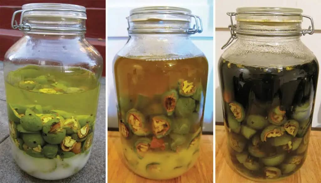 Natrhajte si v júni pár zelených orechov a zalejte obyčajným alkoholom: Liečivý poklad do každej rodiny, nedám naň dopustiť!