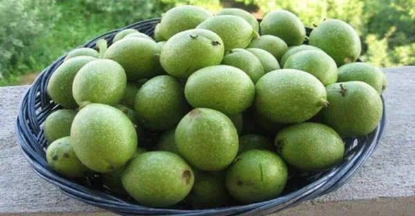 Začnite zbierať zelené orechy: Prestane vás bolieť hlava, zbavíte sa ekzému aj bolesti brucha!