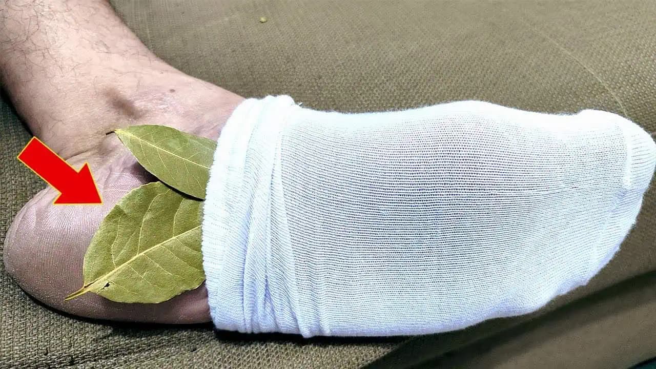 Môj dedo si dal do ponožky bobkový list a išiel spať: Starý trik, na ktorý by sa NIKDY nemalo zabudnúť!