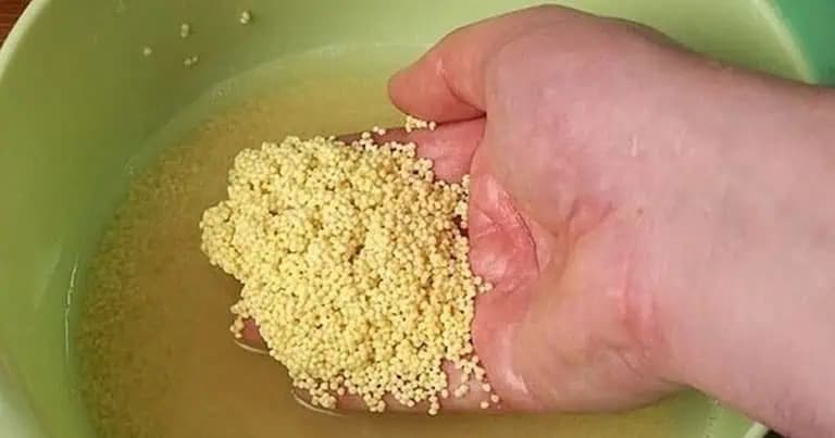 Uvarte vo vode a zabudnite na zdravotné problémy: Táto potravina je záchrana pre pankreas, kosti a zabráni infarktu!