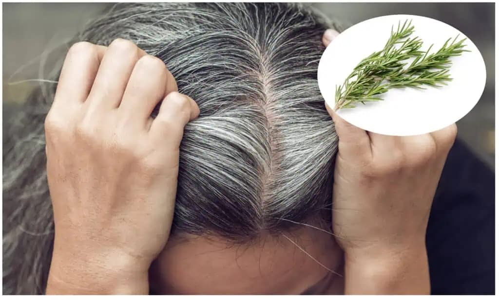 Ženy, poznáte účinok ROZMARÍNU na vlasy? Tento RECEPT radím každému, koho trápi nadmerné vypadávanie, ŠEDINY a pomalý rast!