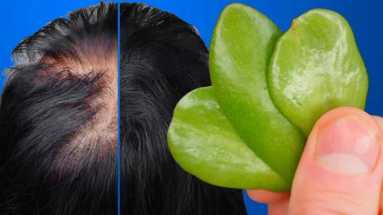 Vlasy rastú ako šialené a nevypadávajú: Musíte skúsiť, čo dokážu tieto zelené listy!