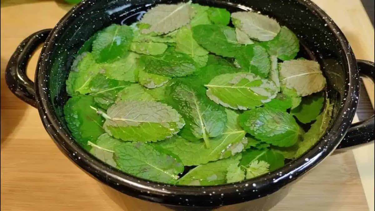 Trápi vás VYPADÁVANIE a pomalý rast? Tento recept zachráni vlasy aj po 60-tke!
