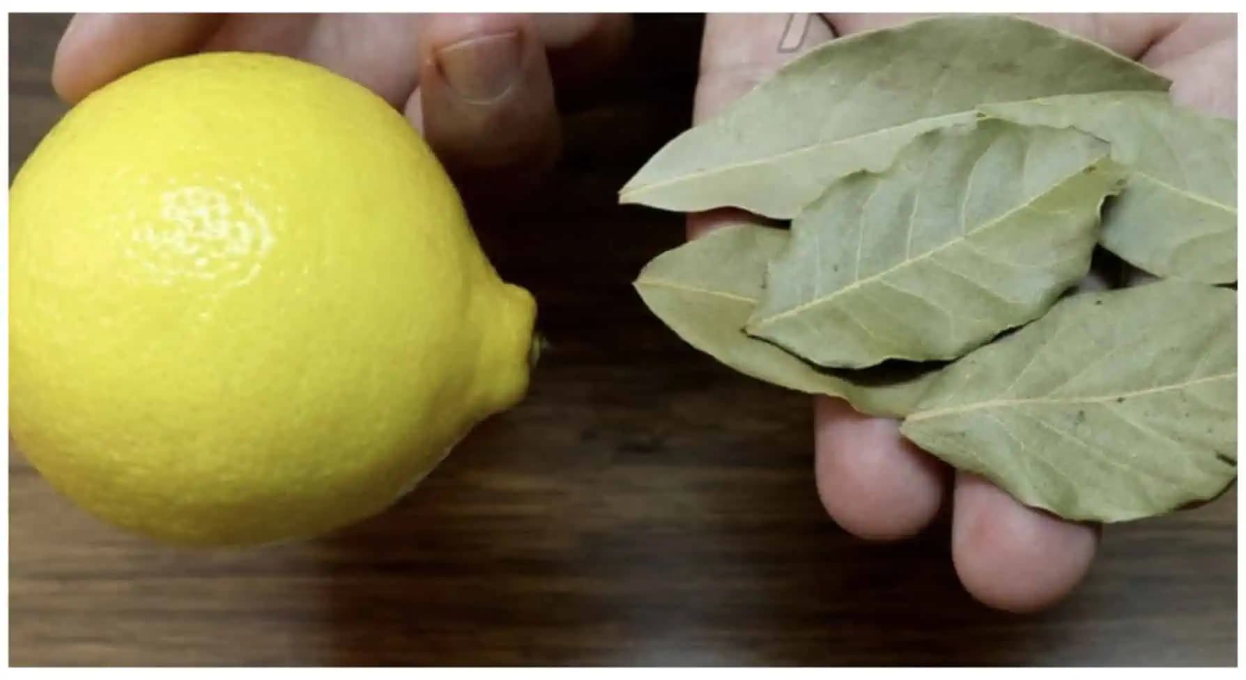 Dajte do misky 6 bobkových listov s obyčajným citrónom a nikdy nezabudnite na tento recept: Záchrana pre srdce, imunitu aj choré priedušky!