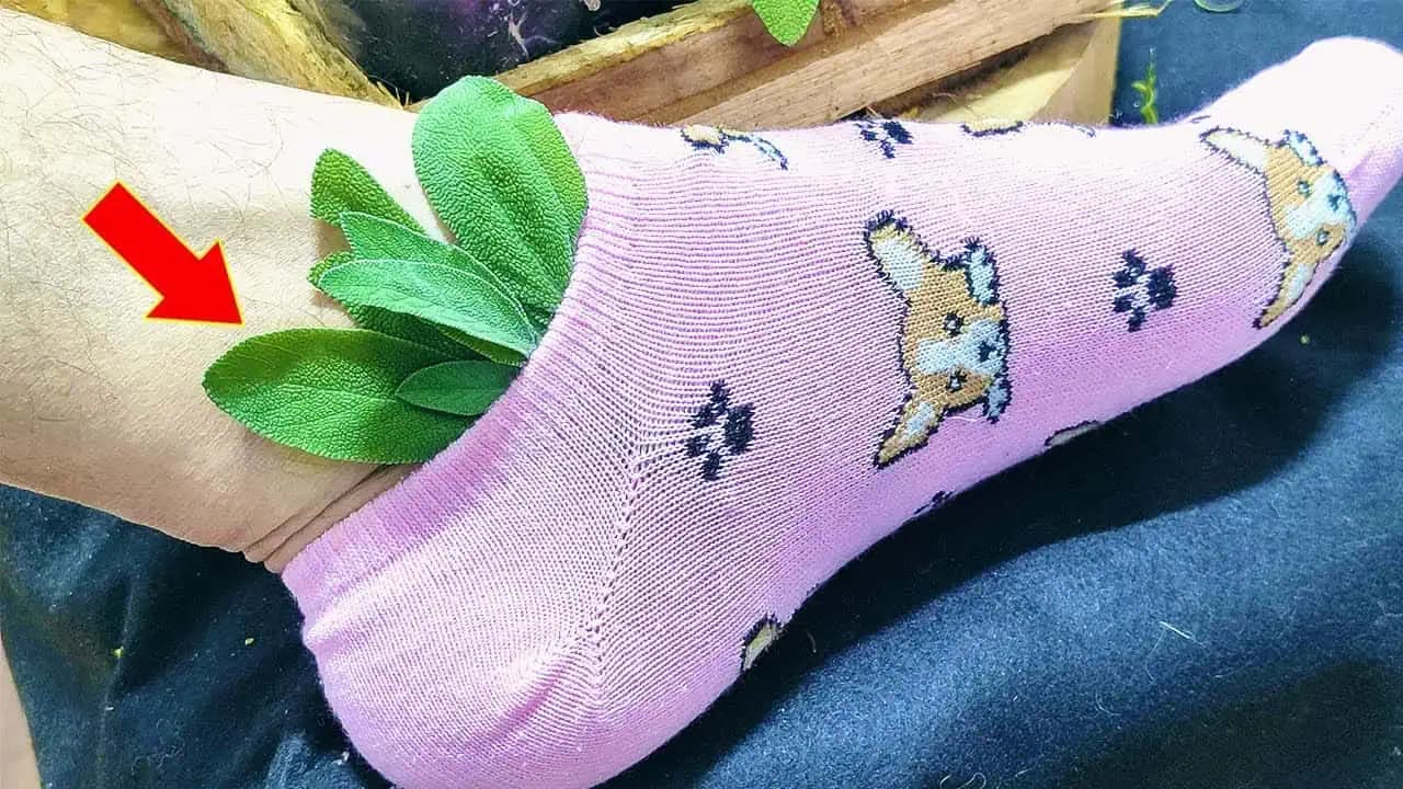 1 list ničí zápaly, demenciu, bolesť, artritídu a migrény: Keď pôjdete sapť, dajte si ho do ponožky!