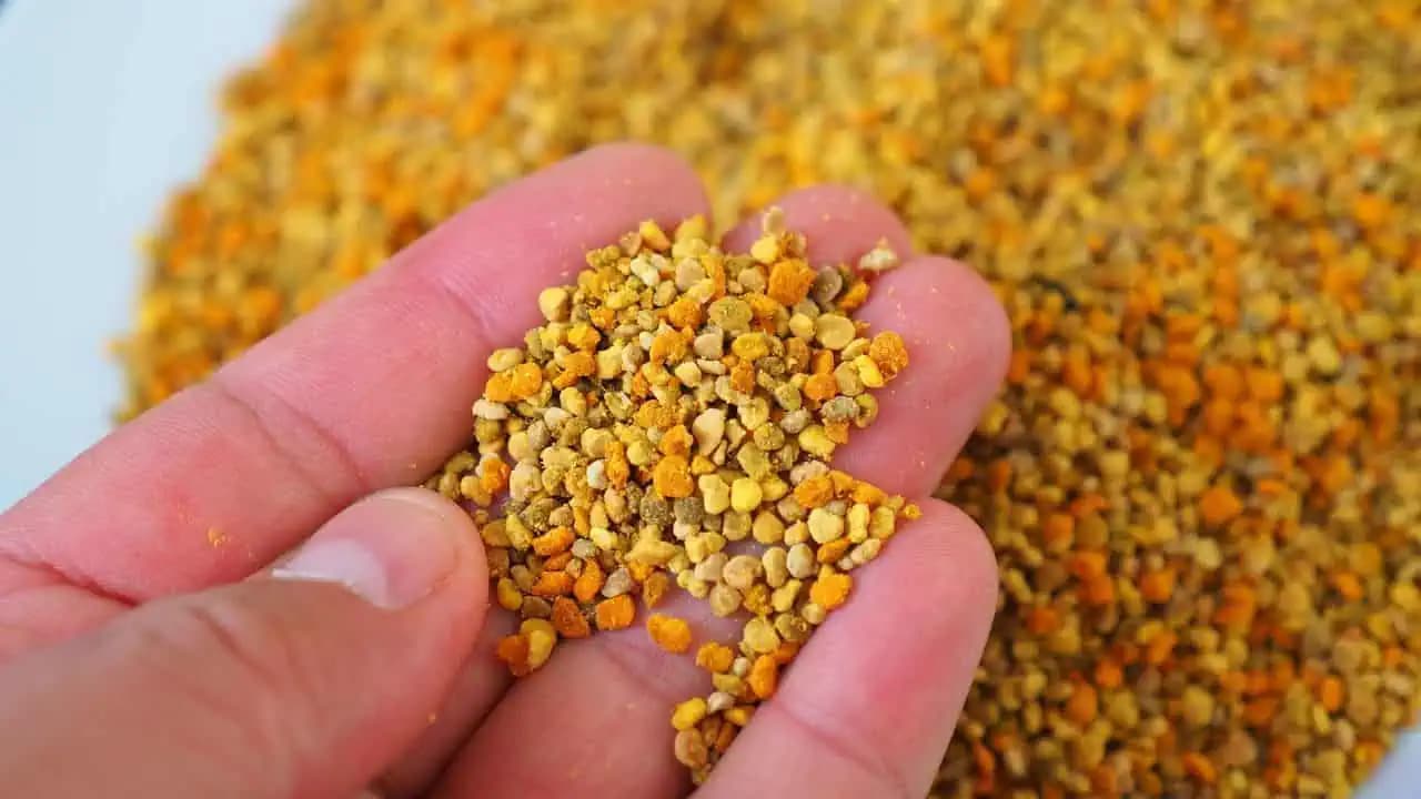 Tieto zrnká nasypte do hrnčeka a zalejte teplou vodou: Doslova NIČ neposilní imunitu lepšie ako toto!