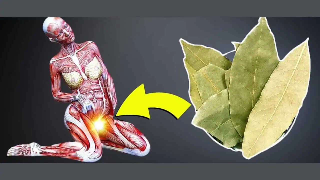 Pite čaj z bobkového listu a budete prekvapení, čo sa s vami stane: Úžasné!