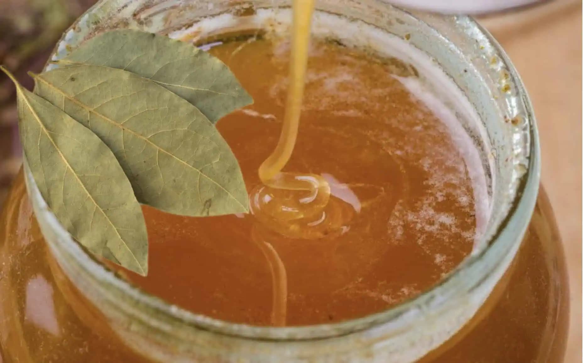 Zmiešajte bobkový list s obyčajným medom a zabudnete, čo je bolesť kĺbov a opuchnuté nohy: TU je recept!