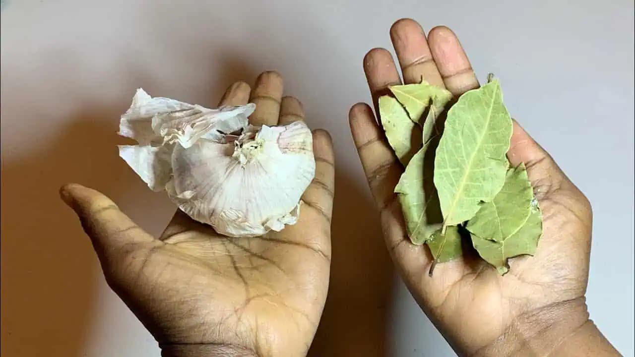 Cesnak a bobkový list sú silnejšie ako hocijaké lieky, hovorila moja mama: Zapamätajte si tento recept na celý život!