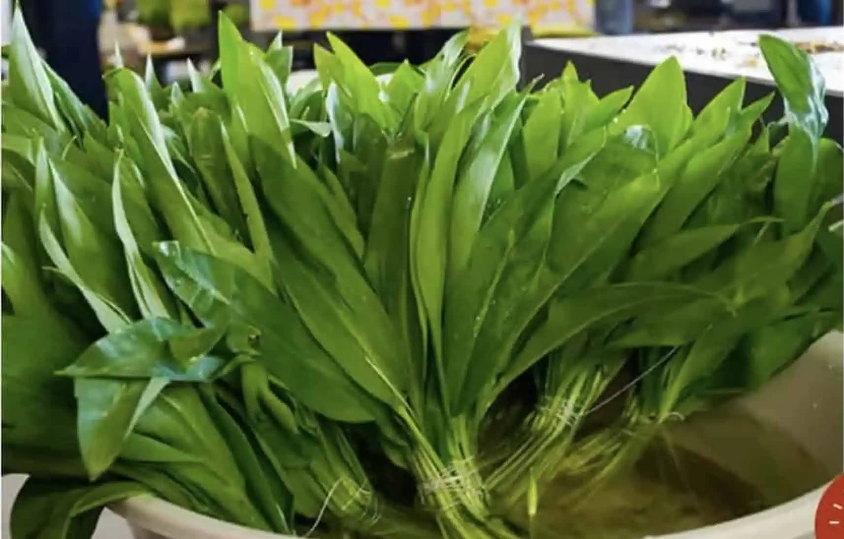 Zbierka najlepších receptov z medvedieho cesnaku + domáci liek pre zdravú pečeň, obličky a srdce!