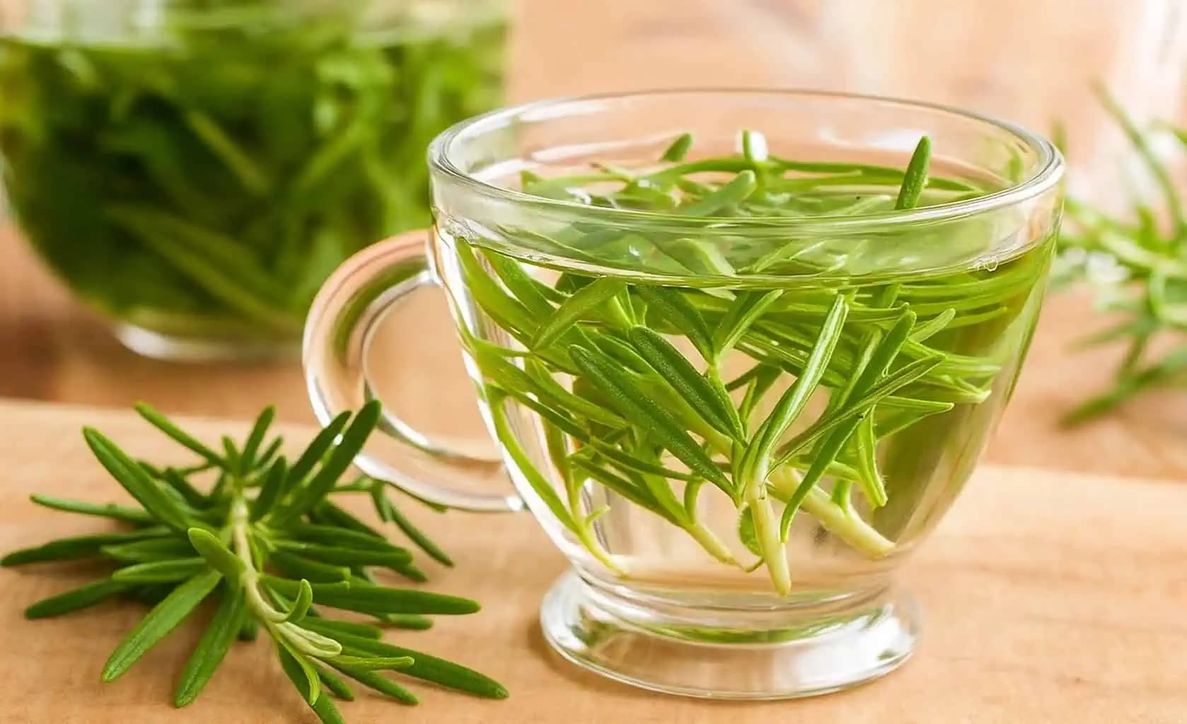 Čaj z čerstvého ROZMARÍNU podporuje činnosť mozgu, čistí pečeň a na vlasy je lepší ako kozmetika: Takto si ho pripravíte!