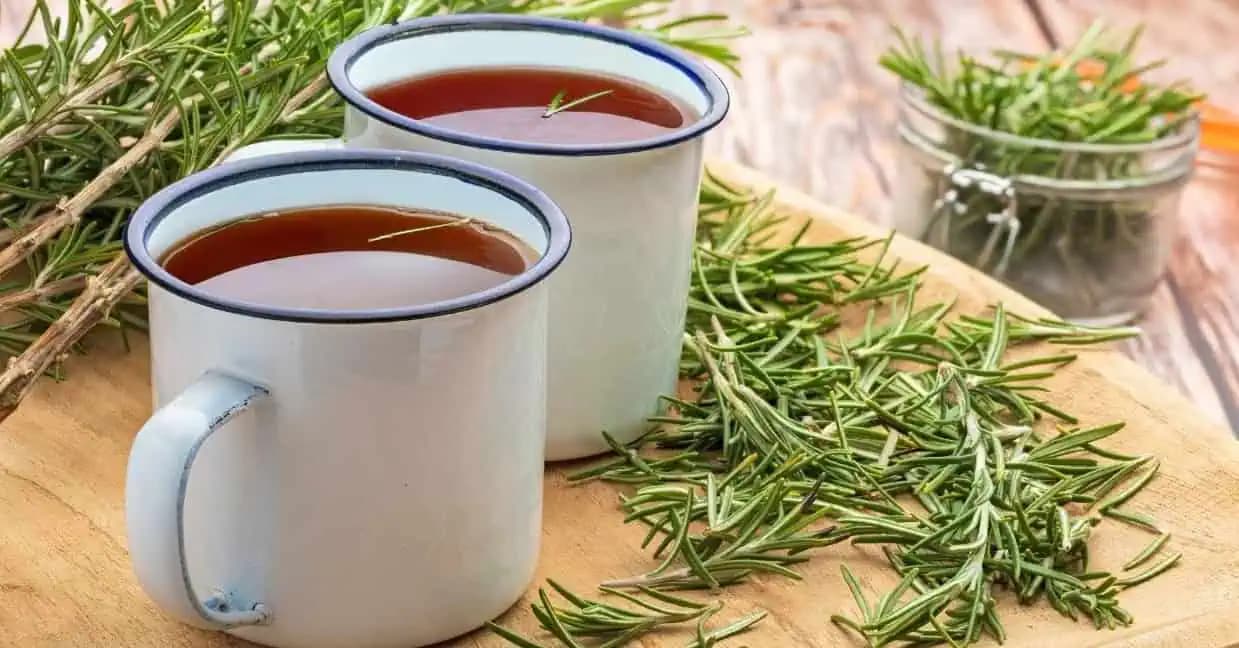 Rozmarínový čaj: pite ho 15 dní a TOTO sa stane!