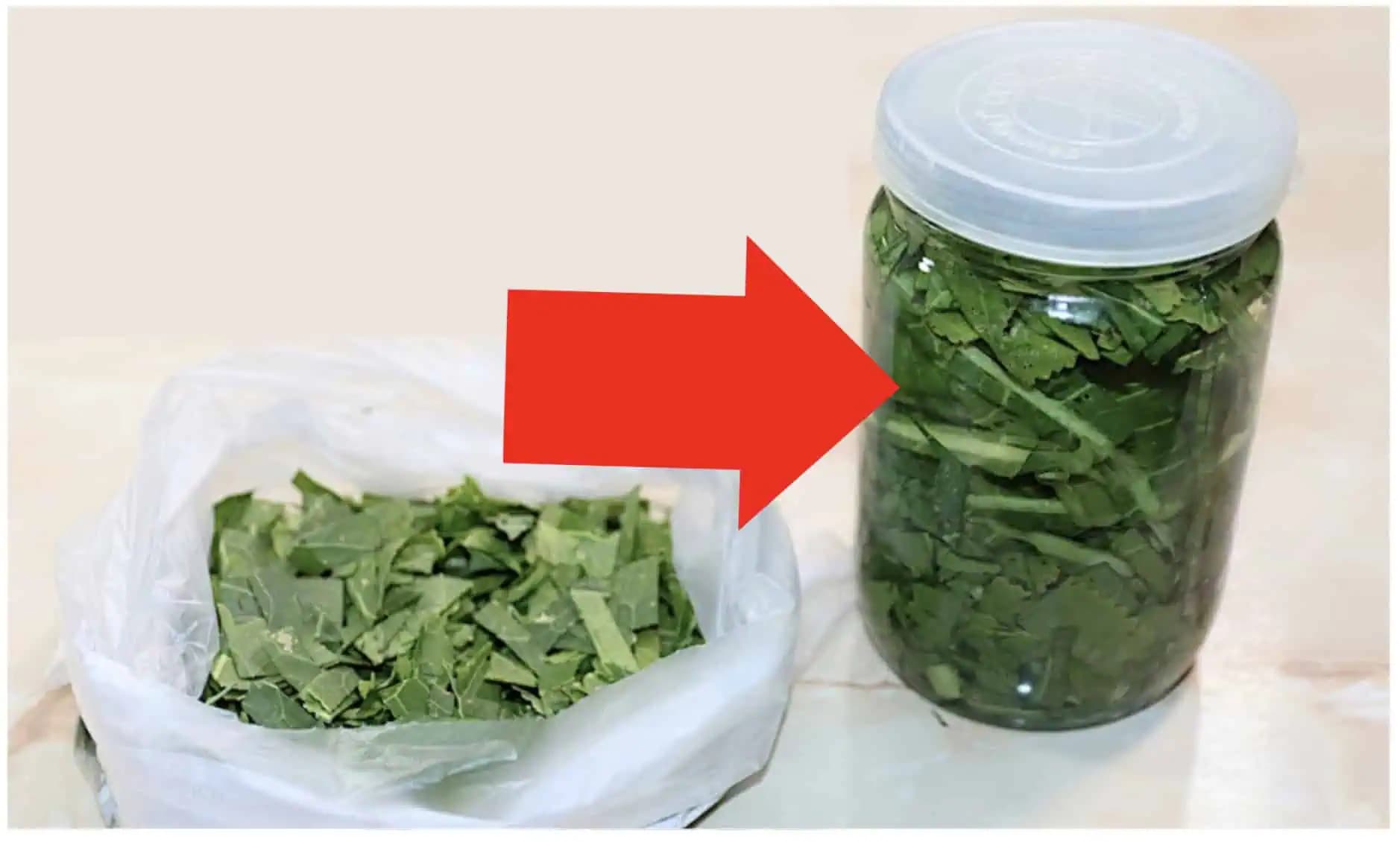 Tento LIST je zlatom z nebies, hovorila moja babička: Na kĺby, zrak aj vysoký tlak, rastie ako BURINA!