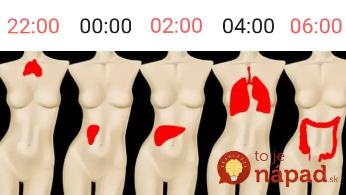 Budíte sa každú noc v tom čase? Nie je to náhoda, možno máte problém s týmto orgánom!