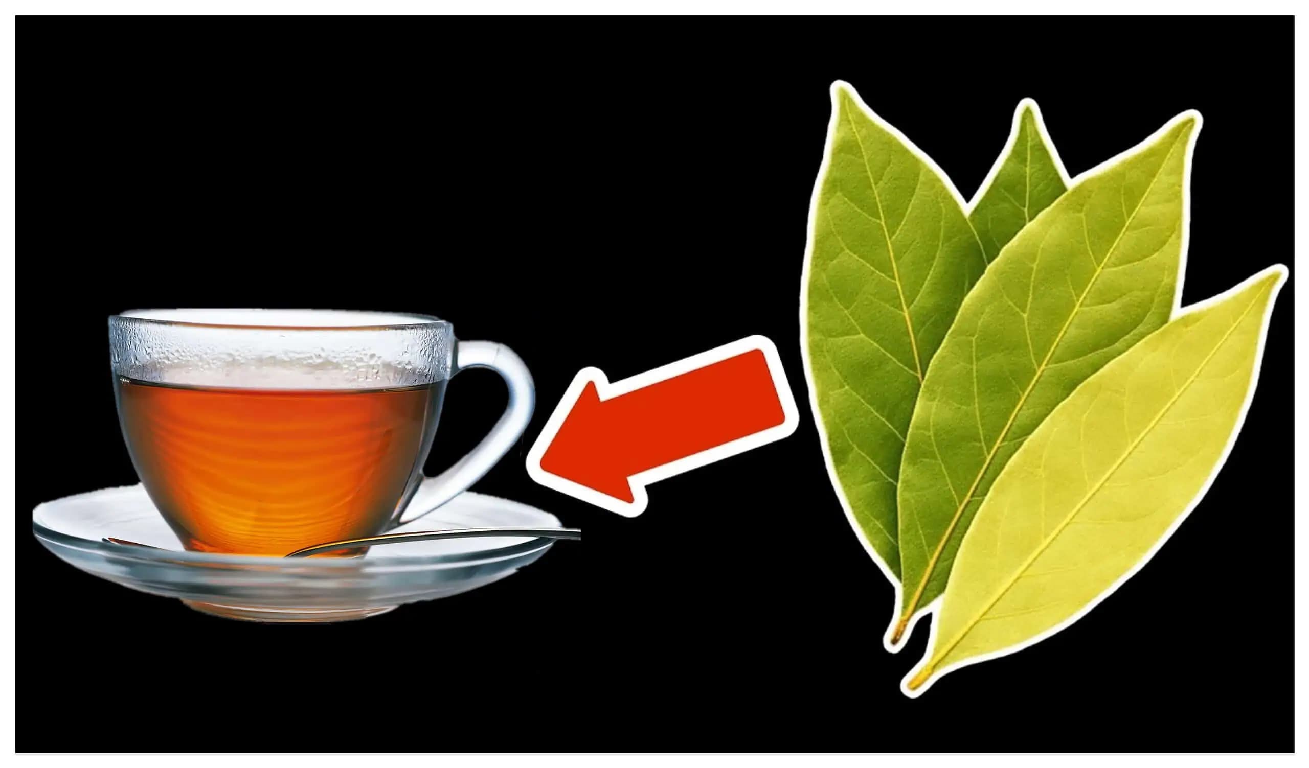 Čo sa stane s vaším telom, keď budete piť čaj z bobkového listu 10 dní? Budete poriadne prekvapení!