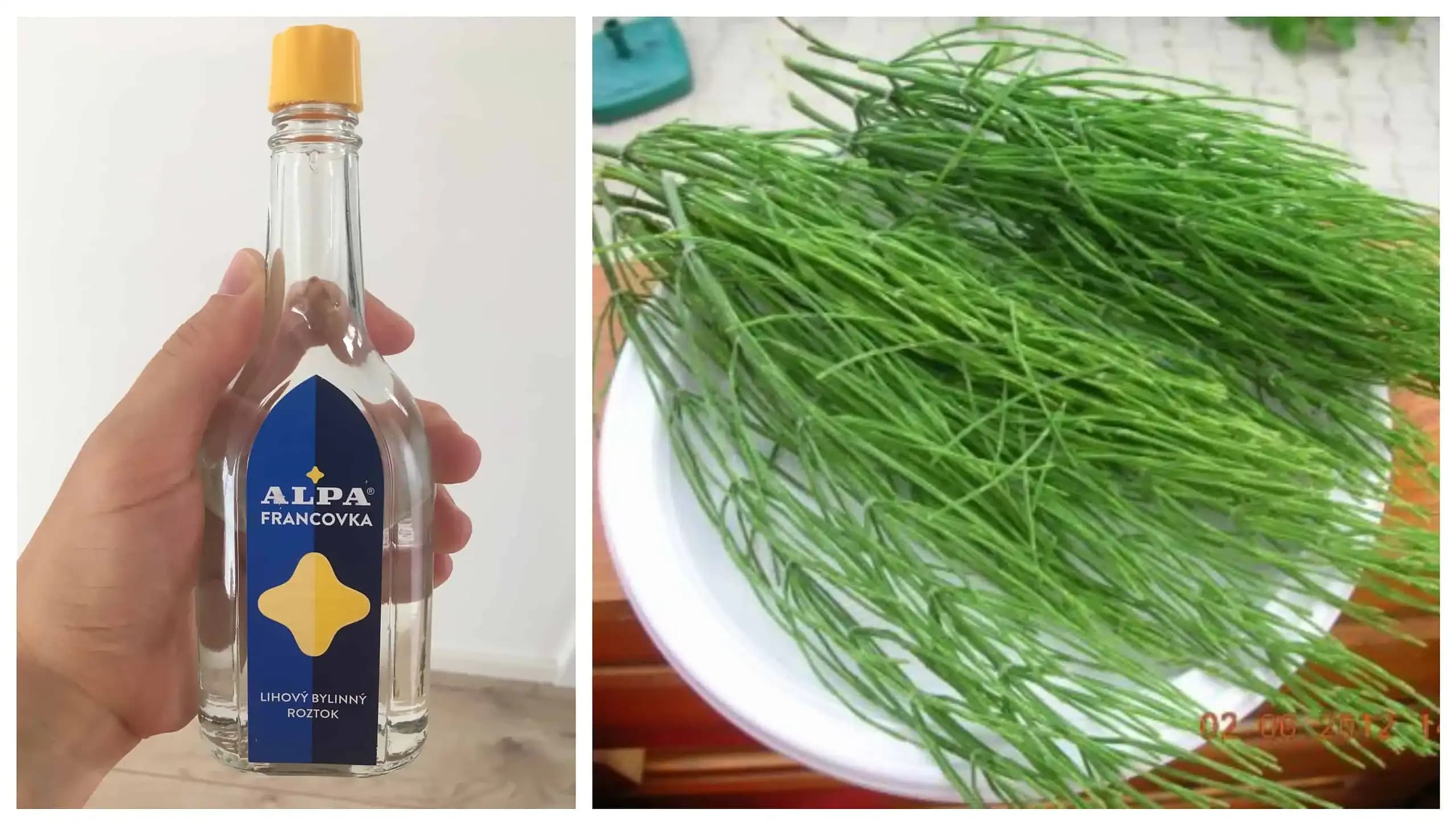 Toto povedzte každému, koho trápia kríže a boľavé kolená: Overené, odskúšané – toto mi zabralo za 1 noc!