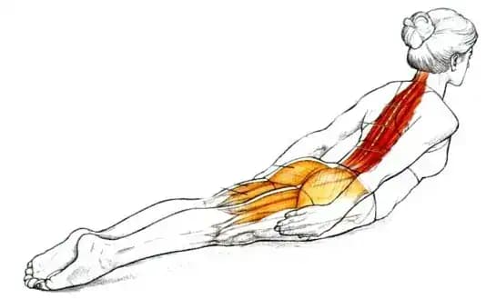 Máte sedavé zamestnanie? Tento jednoduchý cvik vám môže zachrániť zdravie!