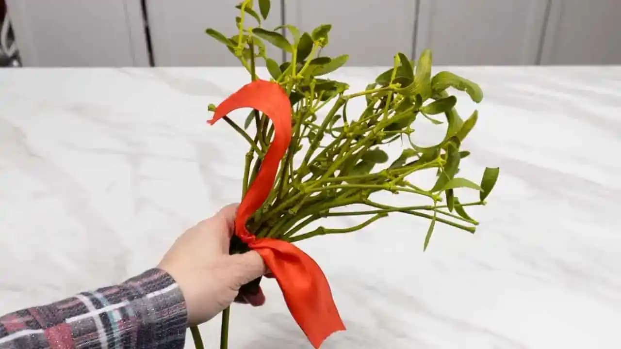 NIKDY nekupujte domov imelo, učila nás starká: Dôvod by mal poznať každý!