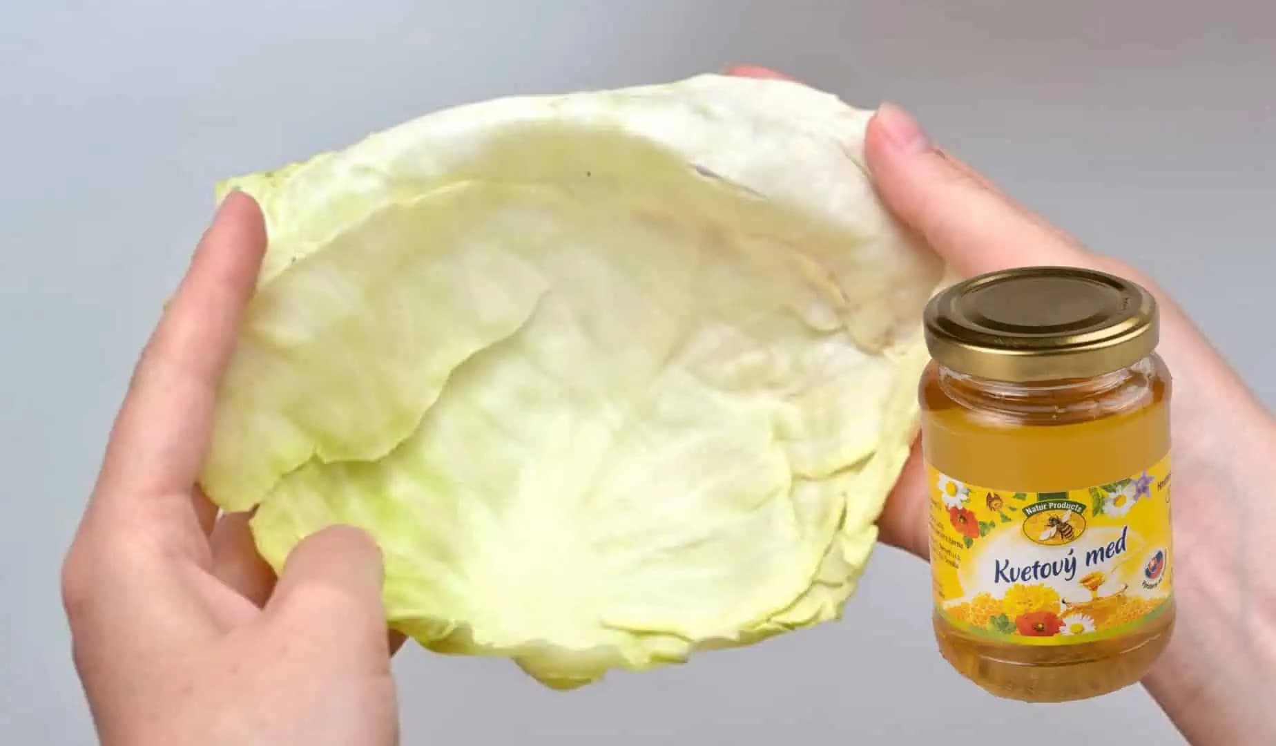 KAPUSTOVÝ LIST A MED liečia aj najhorší kašeľ za 1 noc: Stačí priložiť a ráno ani neviem, že som bol chorý!
