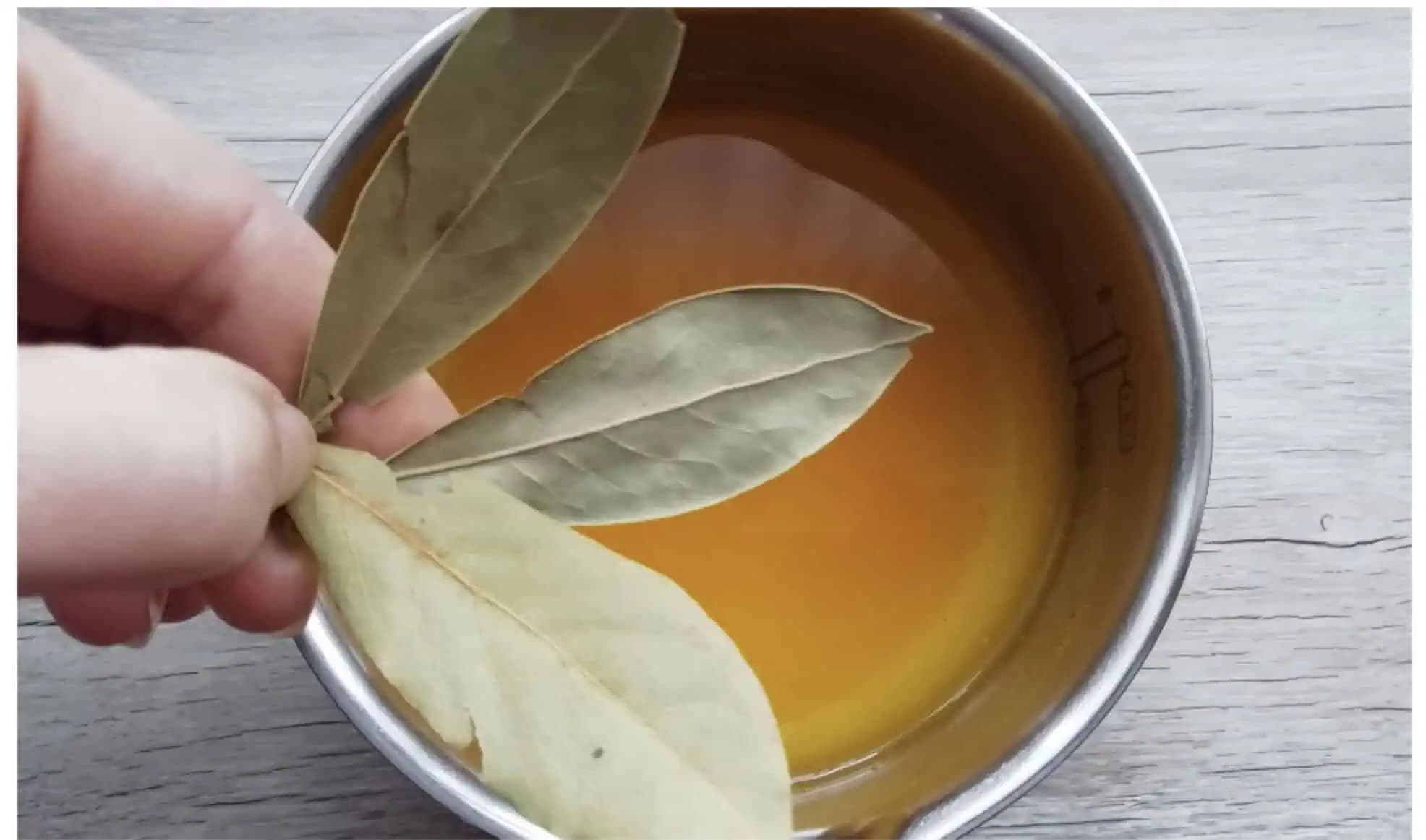 KURKUMA, bobkový list a škorica: Najsilnejšia čistička PĽÚC, prevencia chorôb a posilnenie imunity!