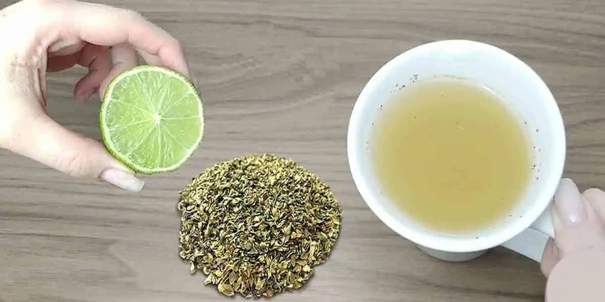 Čaj s citrónom a oreganom: Prečisťuje telo, zmierňuje horúčku, alergie a dusivý kašeľ – ULOŽTE SI RECEPT!