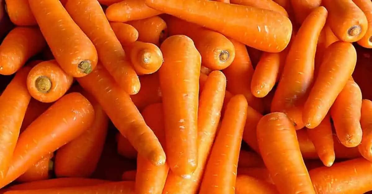 Med, mrkva a citrón: Liečia kašeľ, ničia vírusy a odstraňujú hlien z pľúc – TU JE RECEPT!