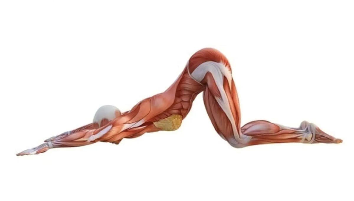 Trápi vás BOLESŤ chrbta: Naučte sa cvičenie, ktoré dá za 7 minút do poriadku stavce a zlepší pohyblivosť aj v 60-tke!