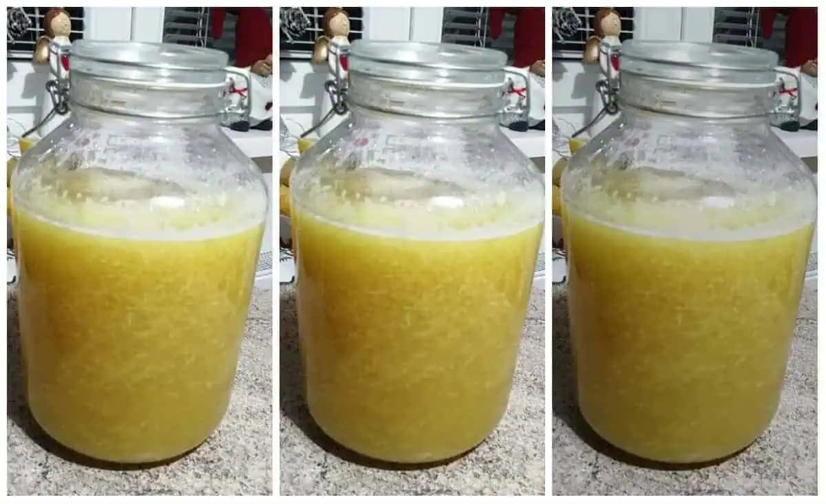 Na boľavé hrdlo, prechladnutie a virózy: Tento DOMÁCI zázrak môjho deda radím každému, kto je chorľavý a necíti sa dobre!