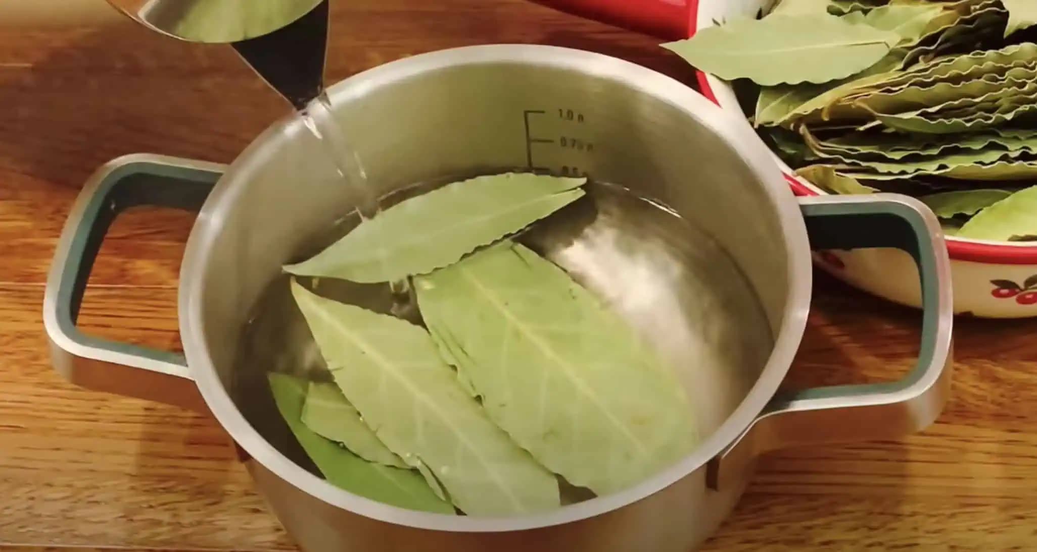 Dajte bobkový list do obyčajného oleja a navždy zabudnite, čo je BOLESŤ kĺbov a kŕčové žily: TU je recept!