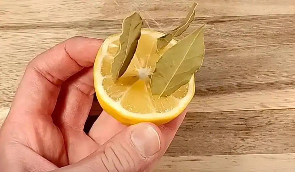 Vezmite citrón a zapichnite do neho bobkové listy: Niekto by mal dostať medailu za tento nápad!