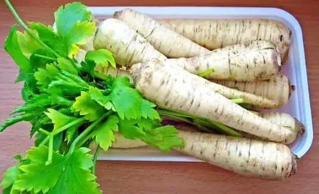 Čaj z koreňa petržlenu: 100 rokov starý recept na anémiu, chorú pečeň a obličkové kamene!