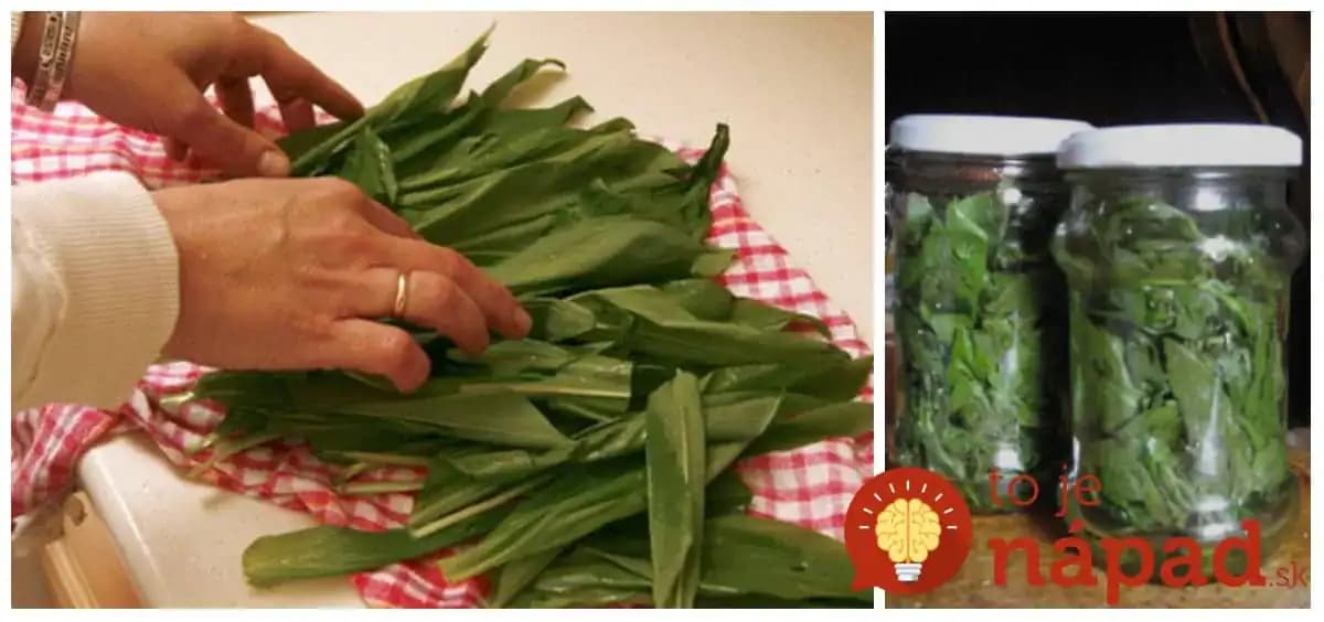 Stačí ho len dať do pohára a zaliať: Tento recept z medvedieho cesnaku vám prečistí obličky, močové cesty a poradí si aj s vysokým tlakom!