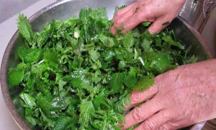 Táto zeleň LIEČI kŕčové žily, opuchy a bolesť nôh lepšie, ako drahé prípravky: TU je recept!