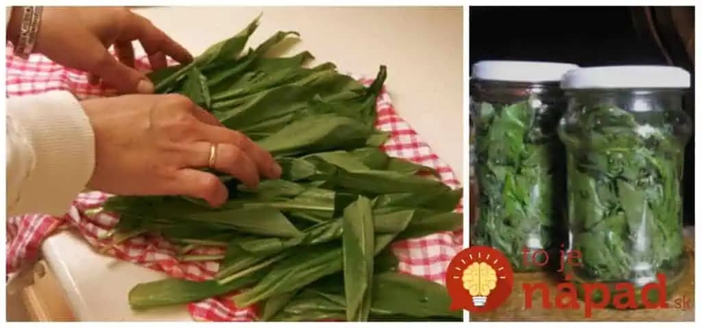 Stačí ho len dať do pohára a zaliať: Tento recept z medvedieho cesnaku čistí obličky, močové cesty a poradí si aj s vysokým tlakom!