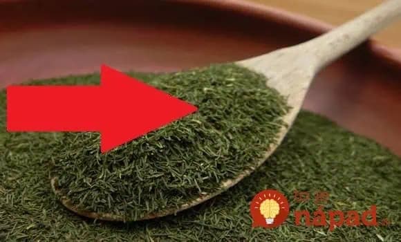 Je to väčšia sila, ako cesnak: Účinok nenápadnej bylinky by mal na jar poznať každý – nebudete ju dávať len do uhoriek!