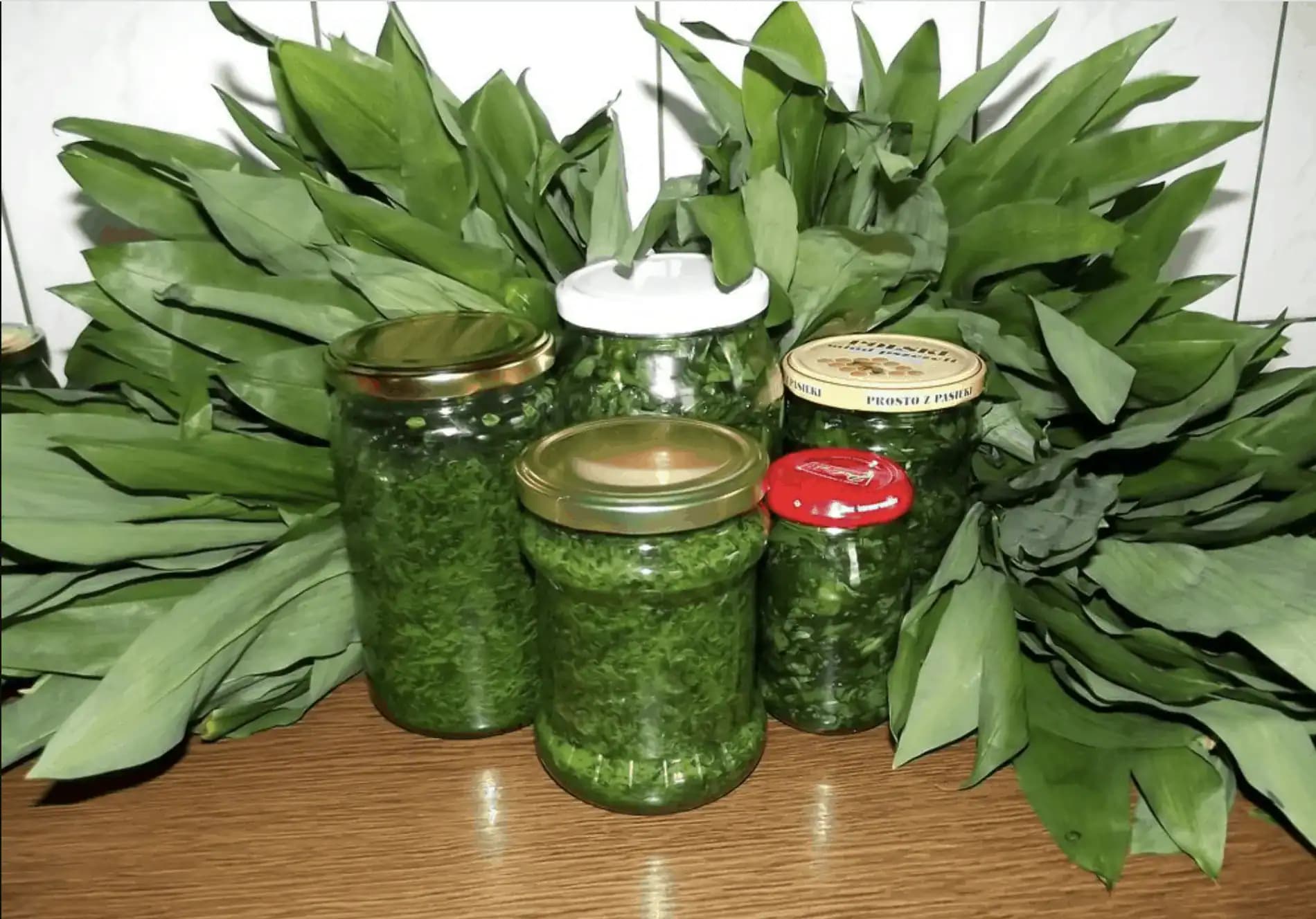 Hovorí sa, že odstráni z tela VŠETKO zlé a naštartuje imunitu: Tento zázrak z medvedieho cesnaku radím každému, kto je chorľavý a necíti sa dobre!