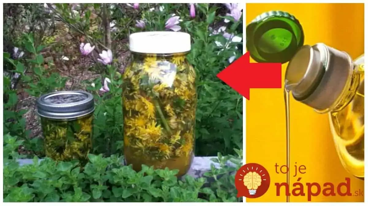 Každú jar dávala moja moja kvety púpavy do pohára s olejom: Nikdy by som neverila, že raz tento nápad vyvážim zlatom aj v mojej rodine!