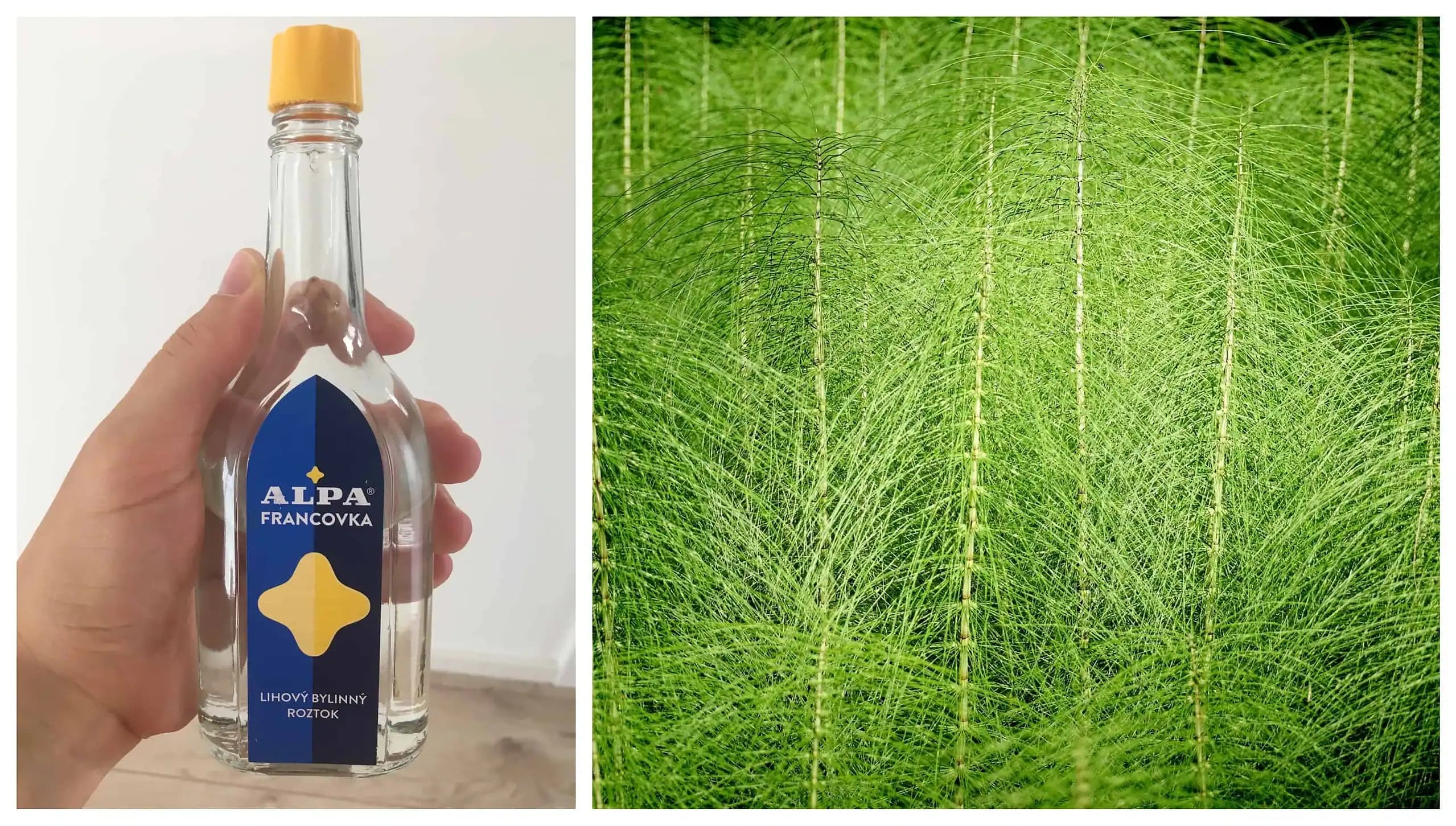 Toto povedzte každému, koho trápia kríže a boľavé kolená: Overené, odskúšané – toto zaberie za 1 noc!!