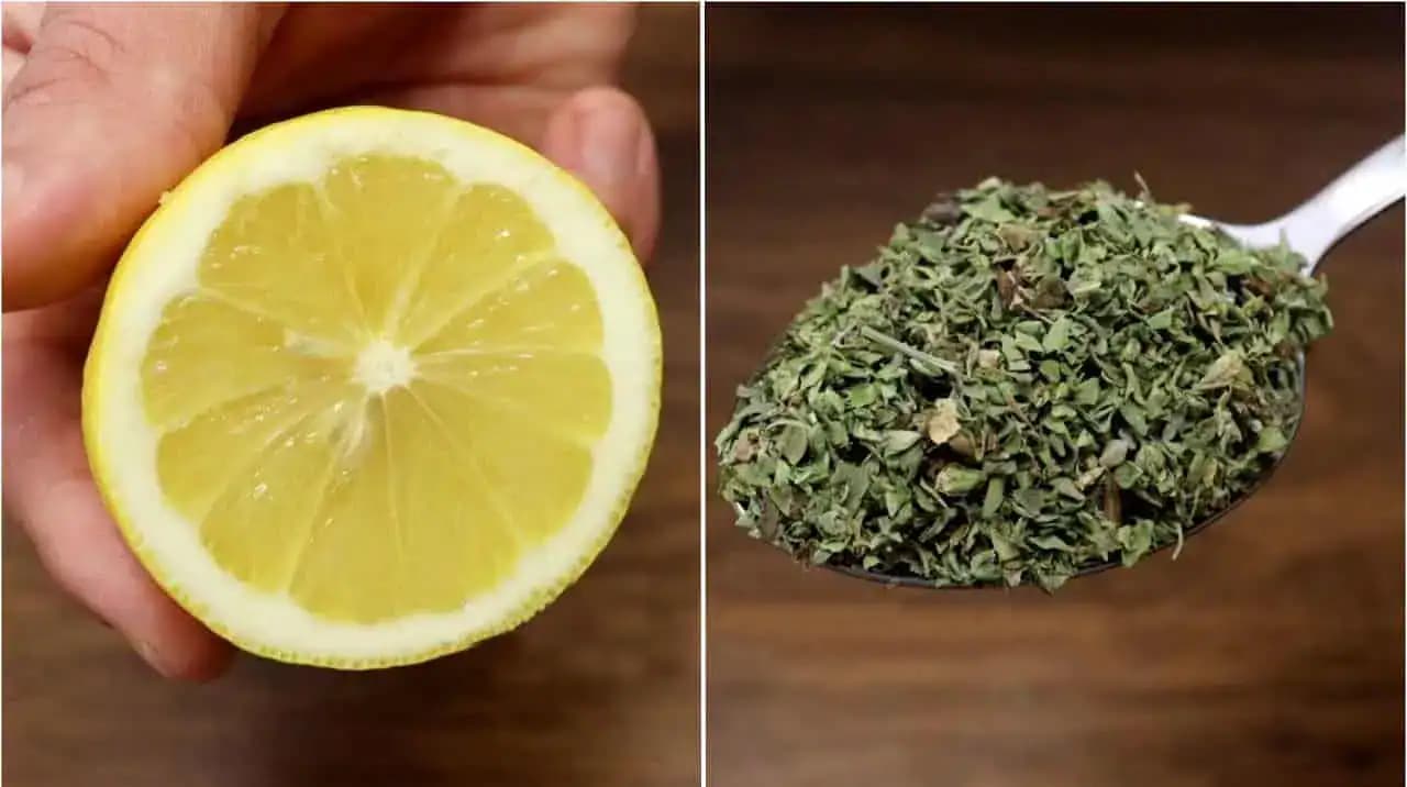 Zmiešajte OBYČAJNÝ citrón s oreganom a za recept mi ​​poďakujete: Využijete to celý rok!