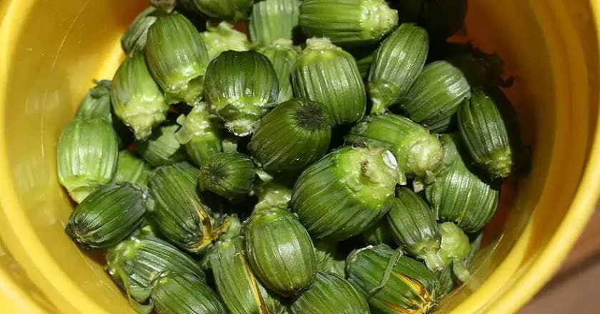 PÚPAVOVÝ DŽEM čistí krv a obnovuje pečeň: 1 lyžička denne a celý rok zabudnite na prechladnutie a malátnosť!