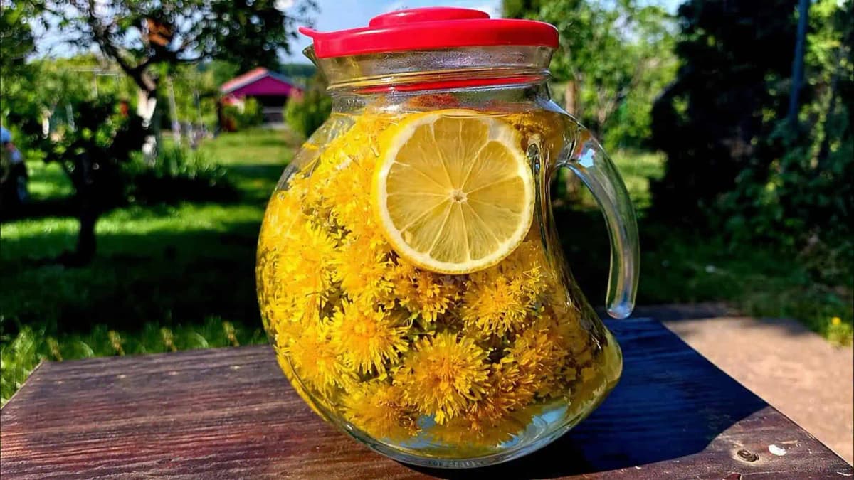 Ženy, nerobte z PÚPAVY len sirup a med, toto je FANTÁZIA: Takto z nej spravíte zázrak na CHUDNUTIE – účinok budete velebiť!
