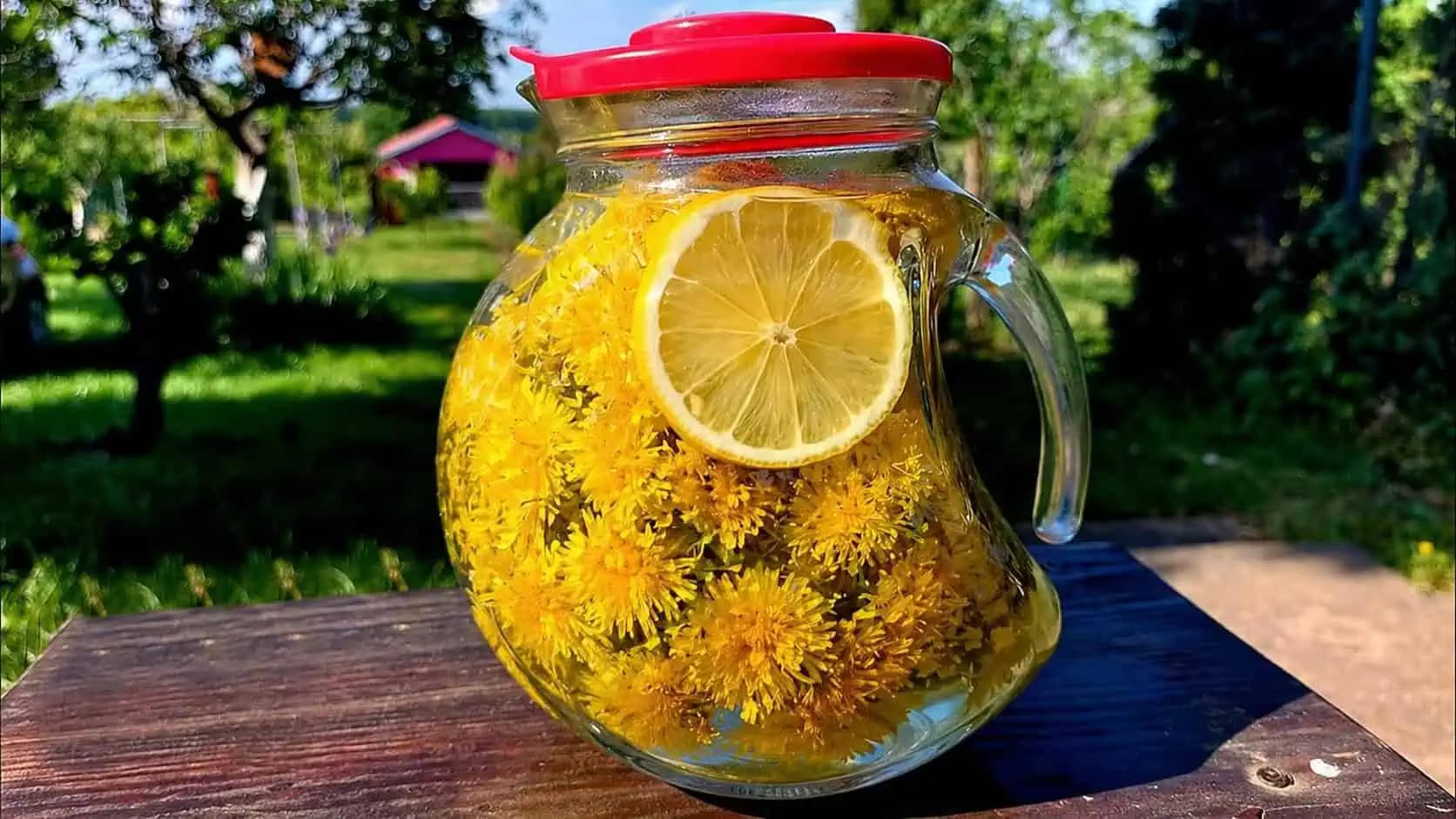 Ženy, nerobte z PÚPAVY len sirup a med, toto je FANTÁZIA: Takto z nej spravíte zázrak na CHUDNUTIE – účinok budete velebiť!