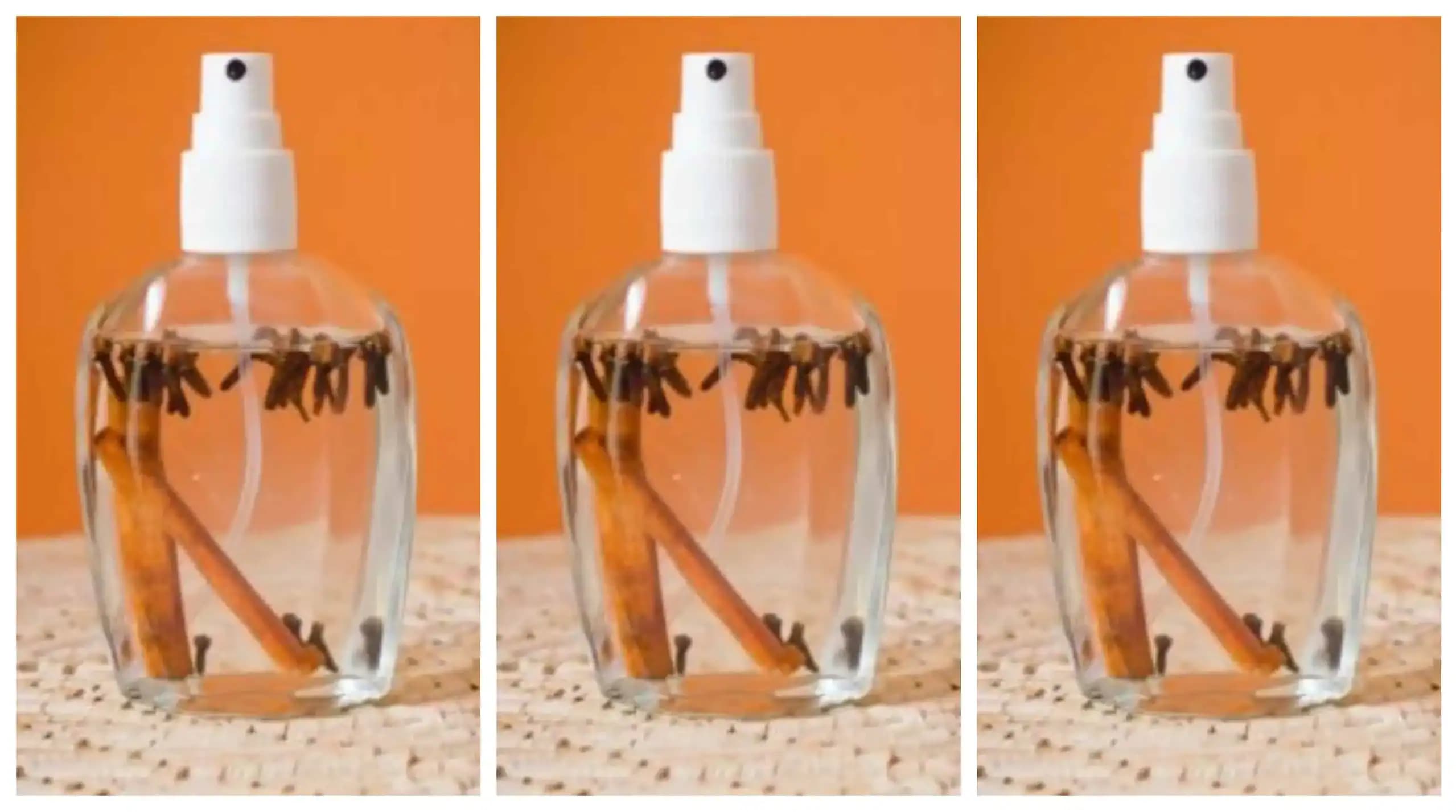 Moja teta vždy dávala do fľaše hrsť klinčekov a kúsok škorice: Nikdy by som nečakala, že raz tento nápad vyvážim zlatom!