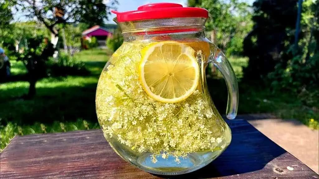Ženy, nerobte z bazy len sirup, toto je FANTÁZIA: Takto z nej spravíte zázrak na CHUDNUTIE – účinok budete velebiť!