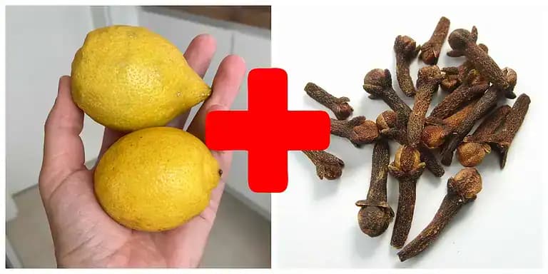 Dajte do hrnca klinčeky, obyčajný citrón a varte LEN 5 MINÚT: Recept, za ktorý budete vďační!
