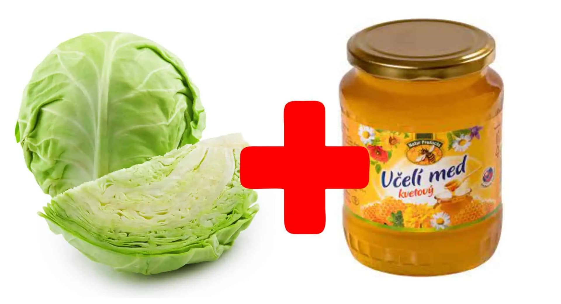 Vezmite list mladej KAPUSTY, MED a zabudnite, čo je bolesť kolien, kašeľ a zápal: Uložte si RECEPT!