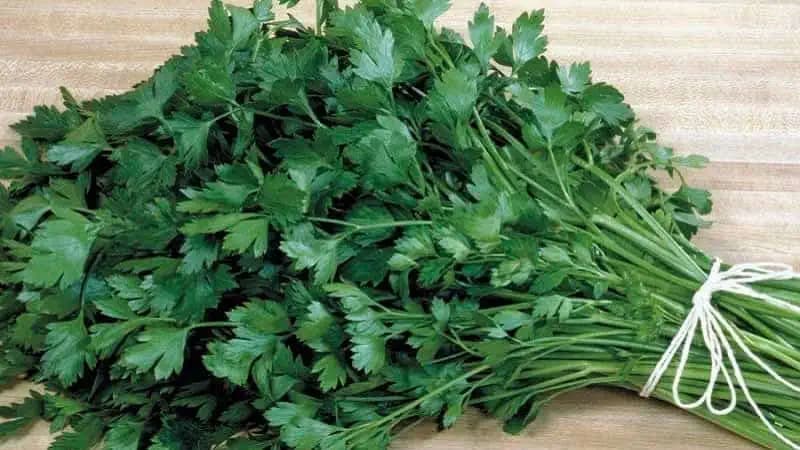 Vyčistite cievy, kĺby a pečeň! Ľudový liek z petržlenu na rýchle čistenie tela od solí – RECEPT!